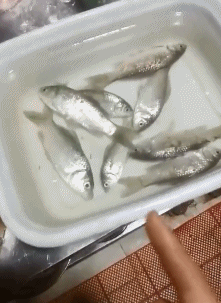 |搞笑图集:大学信息采集的黑发要求,逼疯校门口的洗发师