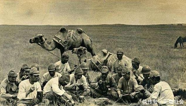 抗日战争|抗日战争时期，在战场上看到这种鸟,见一只消灭一只