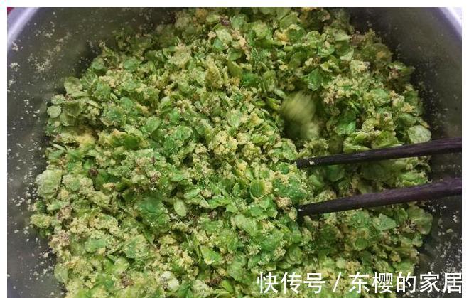 野菜|长在树上的野菜，用玉米面拌一拌，上锅蒸熟，比大鱼大肉吃着都香