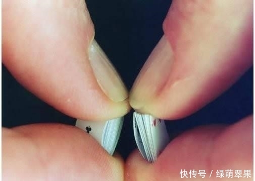 体重只|大千世界,十个最小记录,真是不能再小了