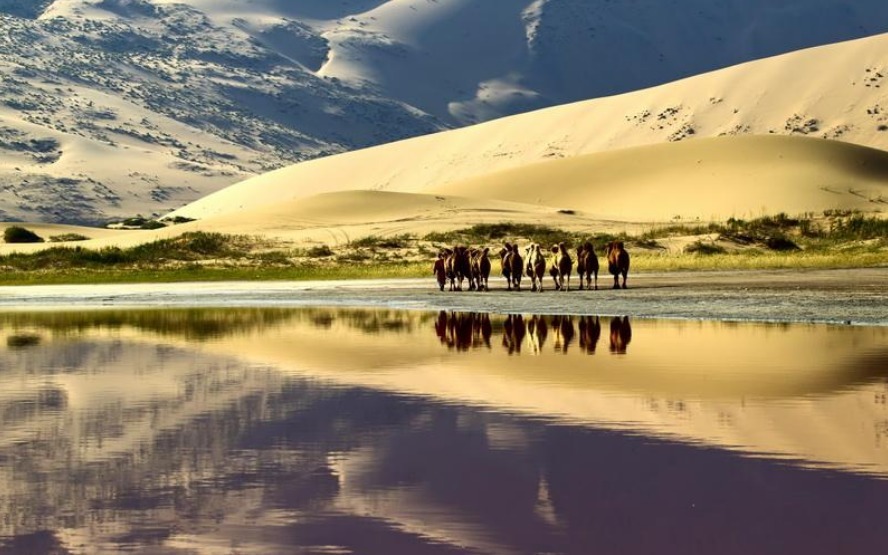 就听到|江山如画朗诵《穿越千年的驼铃》