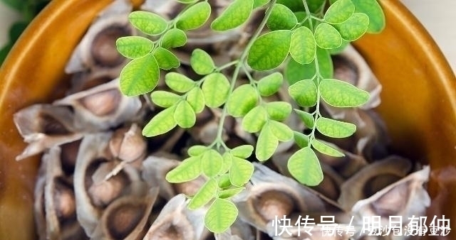 睡眠质量|天然“安眠药”找到,每天吃一点,安神助眠,或许失眠悄悄溜走