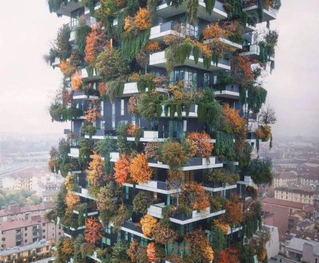 电梯房|中国将迎来第四代住房，家家有院子车停门口，电梯房时代过去了