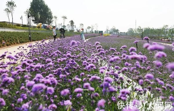 旅游景区|名单公示！焦作解放区入选第二批省级全域旅游示范区