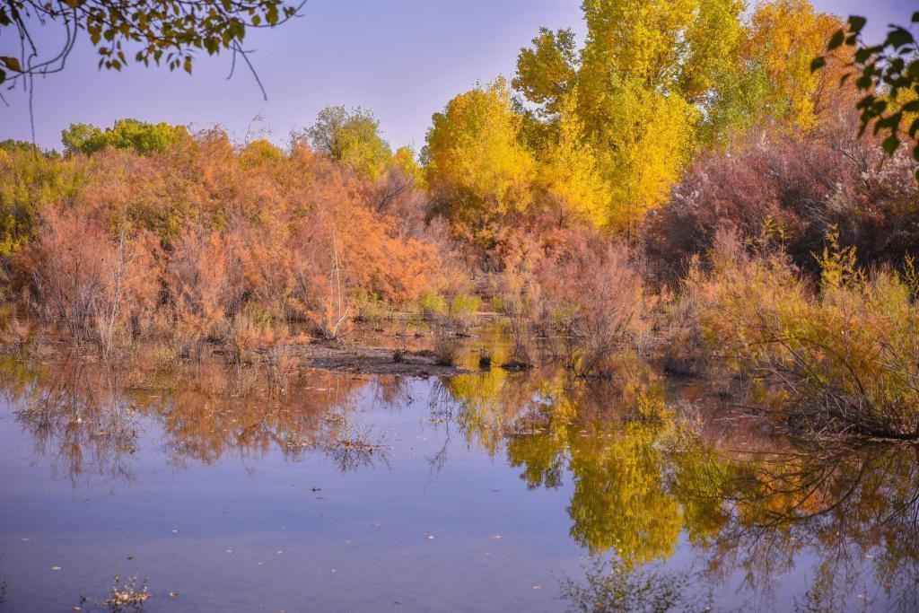 发射 中国航天的摇篮城市,国内的第一颗人造地球卫星就在这里发射