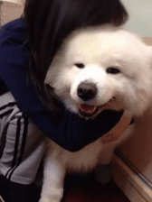 |搞笑GIF段子:理发店小哥也有心情暴躁的时候