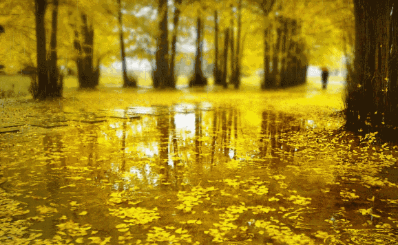 经典&诗词｜６首秋雨经典之作，余味悠长