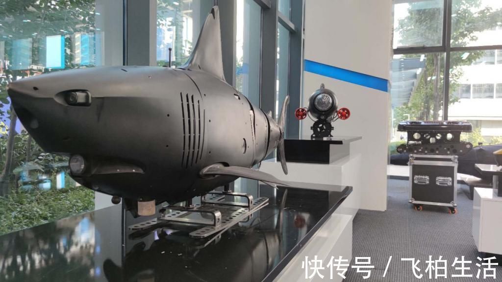 湖水|能给眼睛打针可看穿千米浑浊湖水,尖端服务机器人会争锋服贸