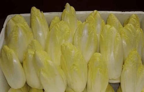 把“山药”埋进土里,能长出“白菜心”,卖80元1斤,你见过吗