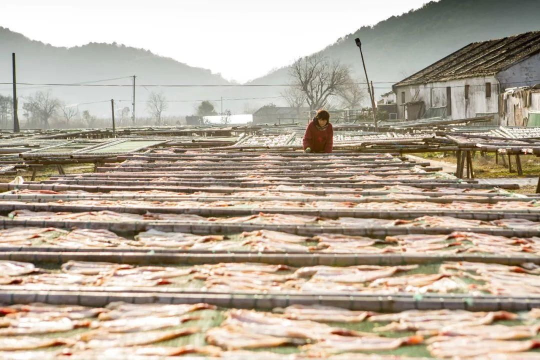  留普过大年，只要尝一口鳗鱼，就爱上了海岛的年|普陀年味 | a642