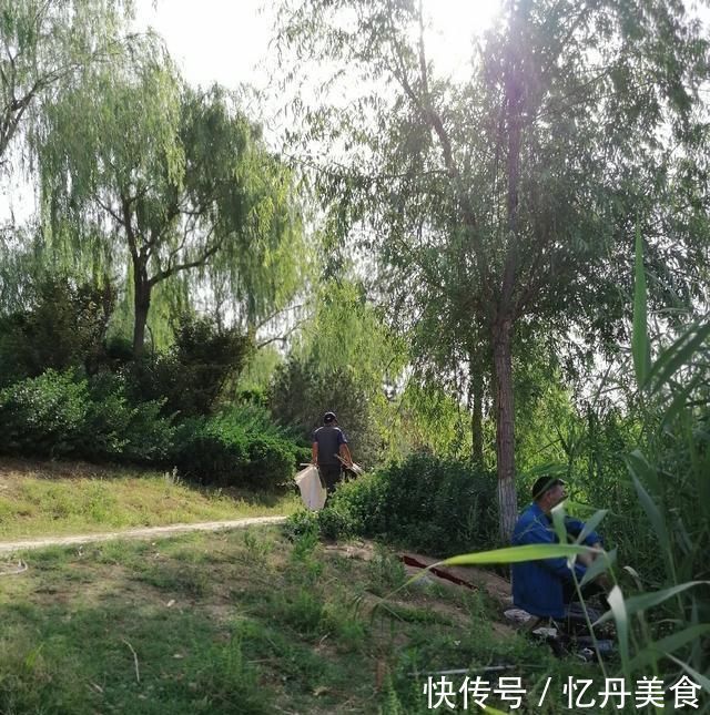 大鱼|高温天,钓大鱼先克服这些“难题”,不是我吹,渔获瞬间猛增几倍