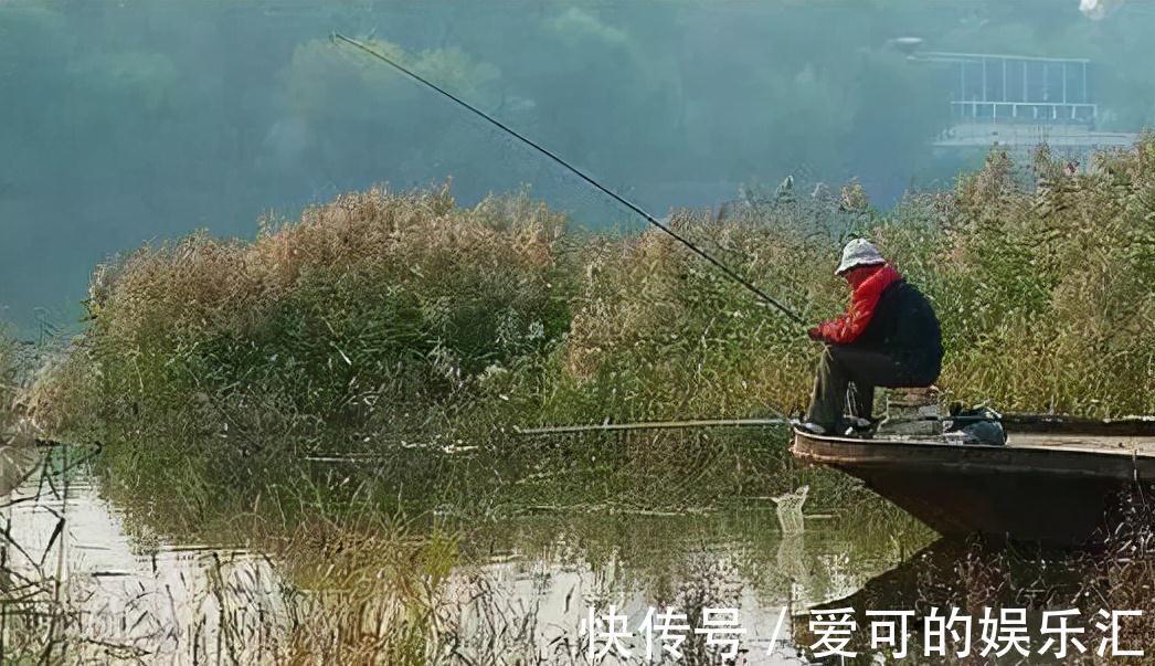 水温|一说冬钓，就是鲫鱼，试试这几种目标鱼，冬季给口也很好