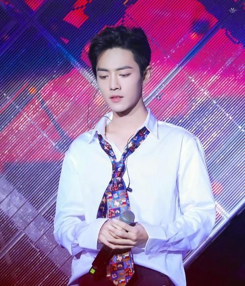 央视之后,肖战再次登上大舞台,《演员2》肖战成最大亮点