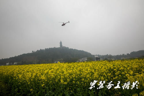 解密潼南的陈抟故里景区，来这里观赏油菜花海已成了水陆空全覆盖