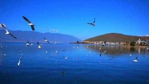 云南适合养老的地方，夏天比海口凉，冬天比长沙暖，知道是哪吗？