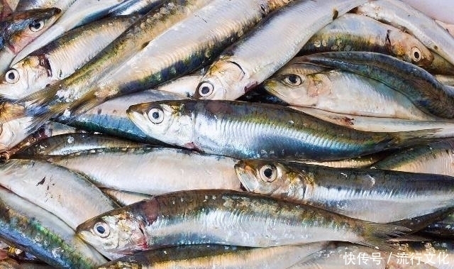 发作|冬天是“痛风”发作的时期,这3种“高嘌呤”食物,还是别吃了!