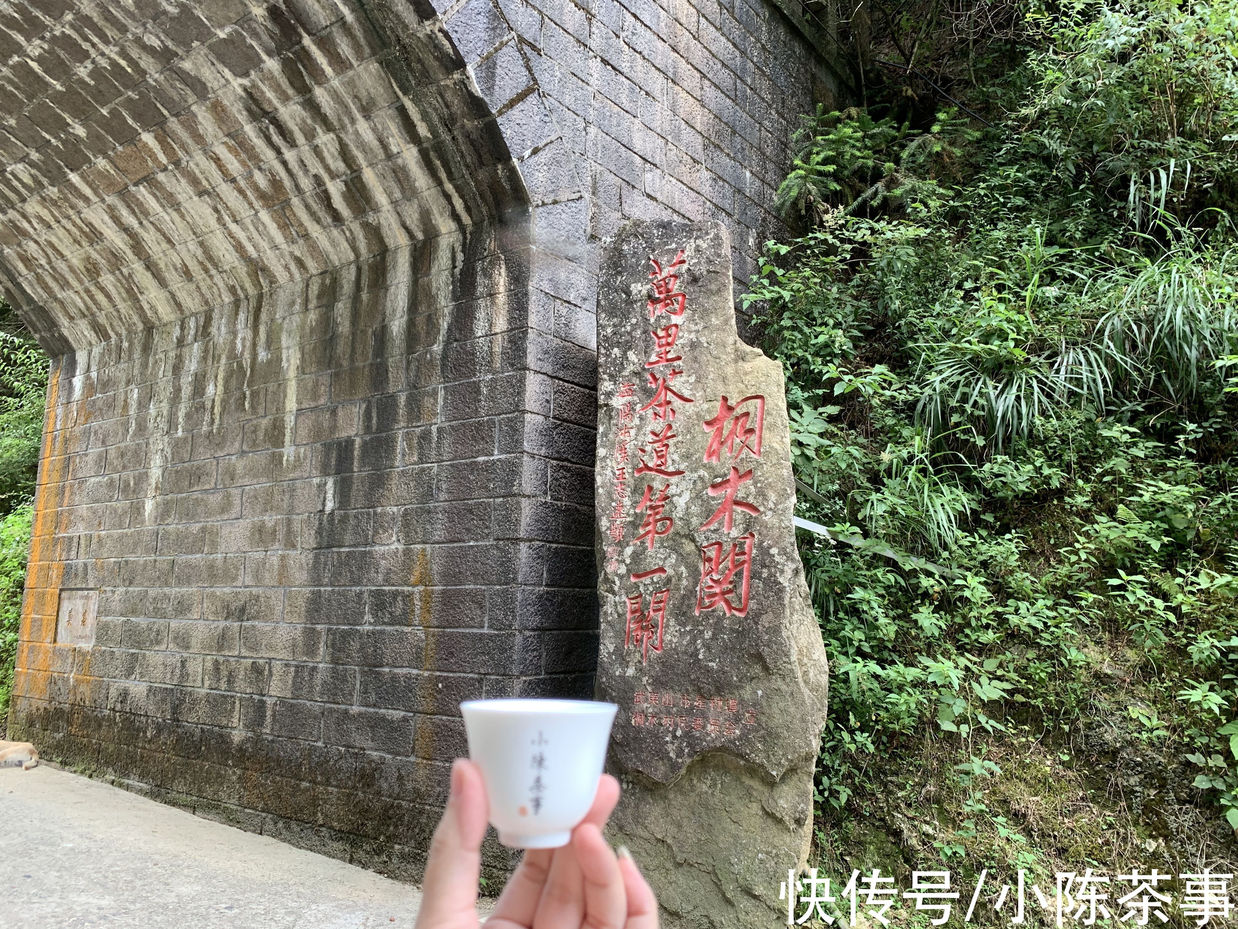 3个分辨正山烟小种红茶的方法，踩过无数坑后的教训，很有用哦