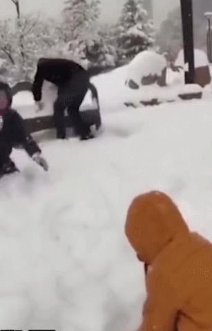 “南方人穿拖鞋到东北旅游?!”哈哈哈哈哈哈哈哈哈