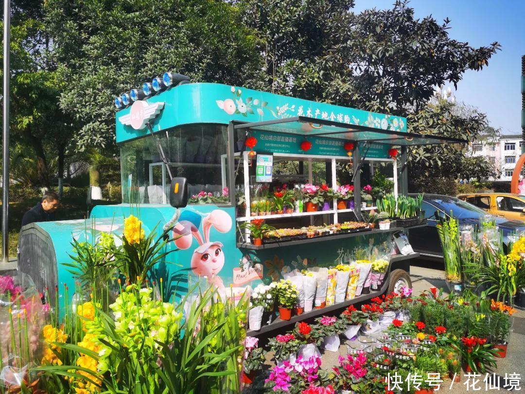 仙境花车惊艳亮相温江,花仙境努力践行公园城市的发展新理念
