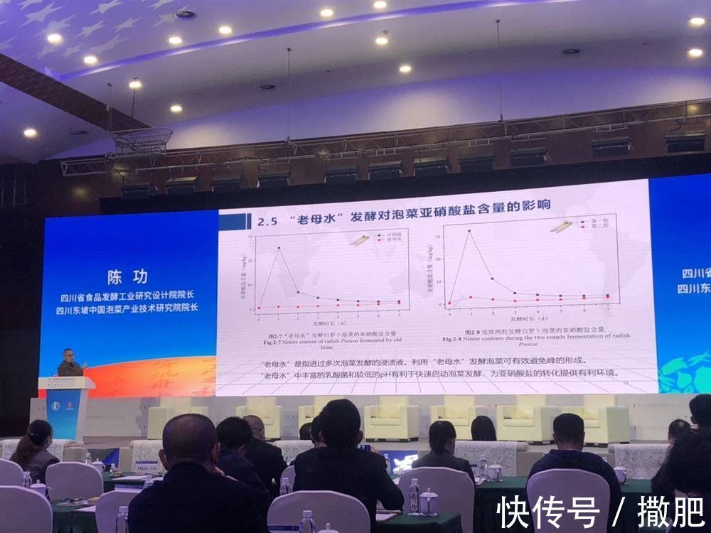 陈功|泡菜榨菜致癌是误解!专家辟谣:不仅安全,还有益健康