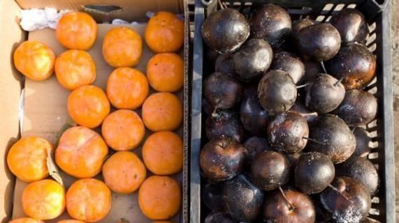  水果|4种最伤身的水果，再喜欢吃也得忍住，不然给你算总账