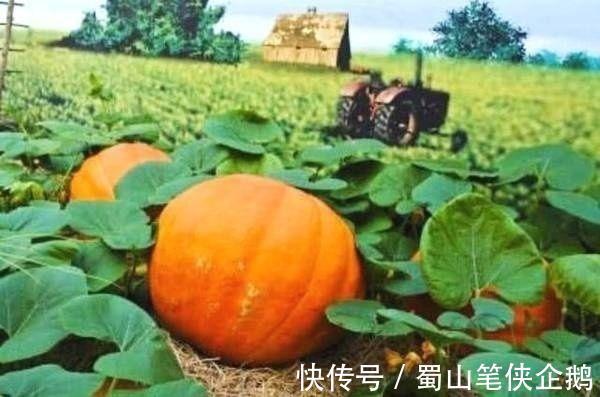 胃胀气|胃胀气导致肚子鼓鼓涨涨的？3个小妙招或许能化解消除肠胃胀气