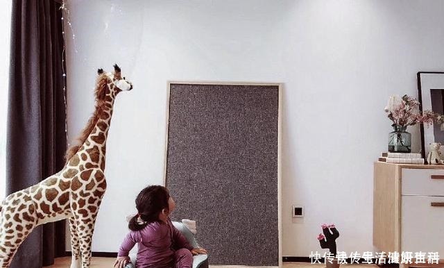 客厅|一进她的家，才知道什么是好看又舒适，简约知性之家，太漂亮！