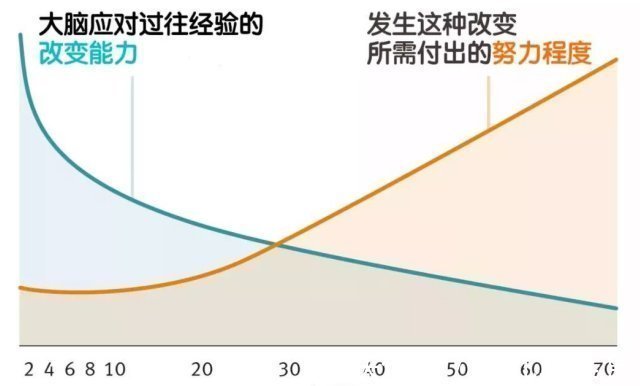 大脑|孩子总是学习差,父母错过孩子大脑发育黄金期,却逼孩子加倍努力