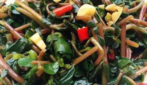 酒泡马齿笕,白发变黑发,巧治4种“常见病”,聪明人早就学会了