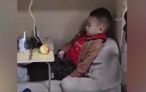 妈妈带着儿子上班，给孩子准备了一方天地，儿子不哭不闹惹人怜