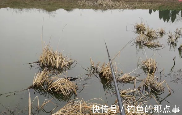 酒米|冬天钓鱼，隔夜窝最容易出大鲫，天越冷效果越好