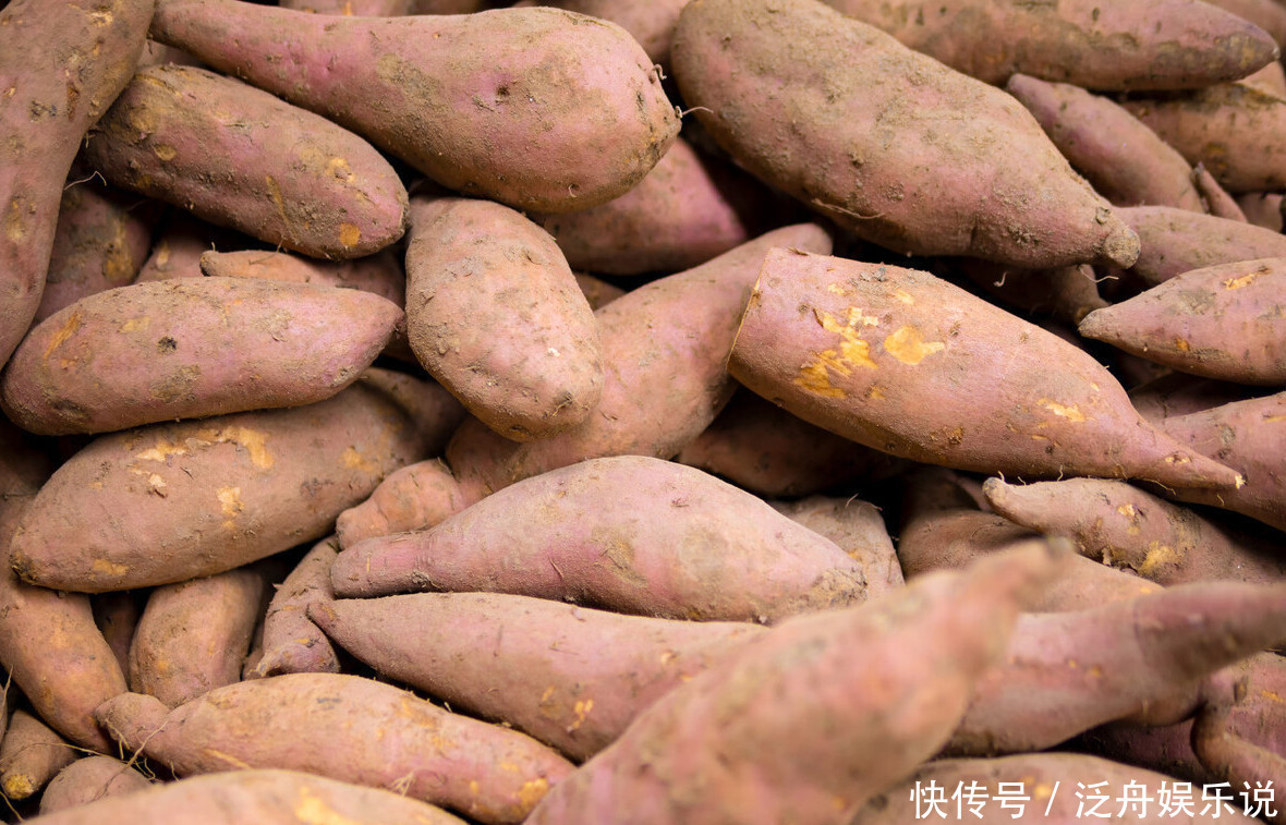 个个|买红薯,选白瓤的好还是黄瓤的好学会这样挑选,个个软糯又香甜