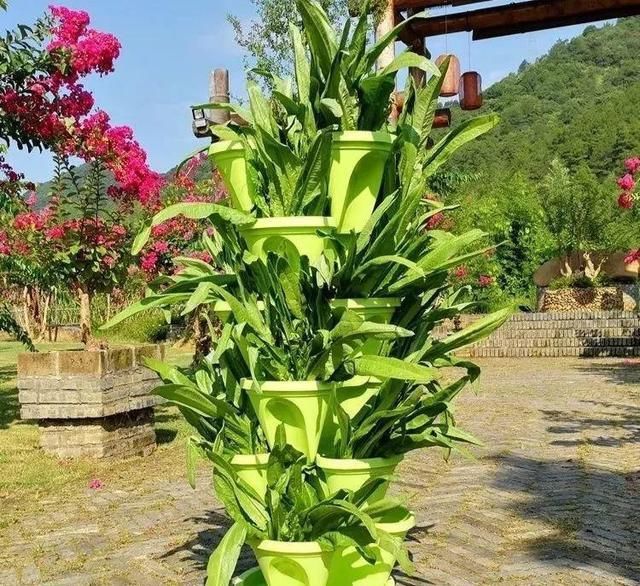 养花占地方？阳台支个架，再养10盆也不挤！