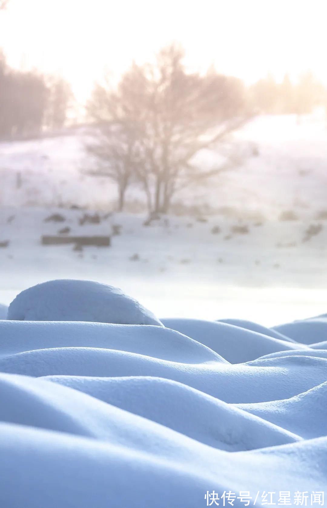 绿杨烟外晓寒轻#今日小寒!