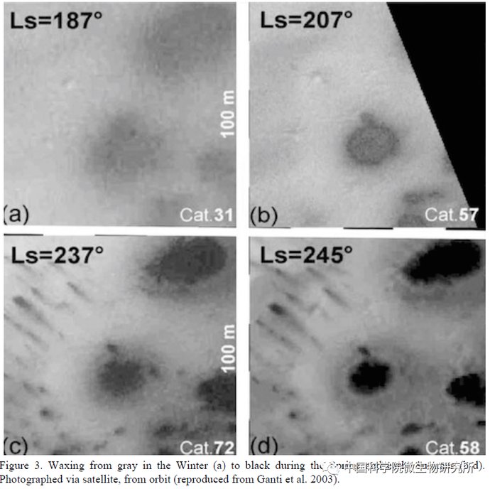 非生物 火星上存在真菌吗？