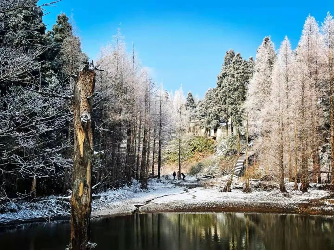 美景|华顶迎今年首场雾凇！天台山美景刷爆朋友圈！