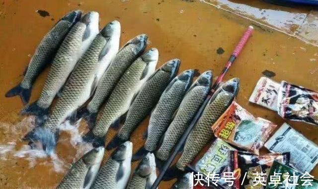 老钓手这绝招果然够狠“对付”大草鱼绰绰有余，后悔现在才知道