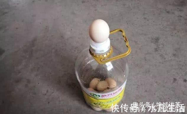 油桶|油桶里的鸡蛋原来是这么放进去的,长知识了,怪不得鸡蛋不会碎