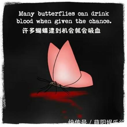 冷知识|令人费解却是实事的10个冷知识:通过人的头发可以知道聪明程度!