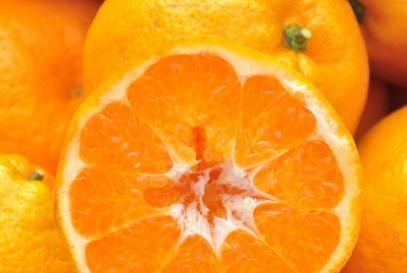 桔子中的“丑八怪”,肉质鲜嫩香甜爽口,好吃不上火