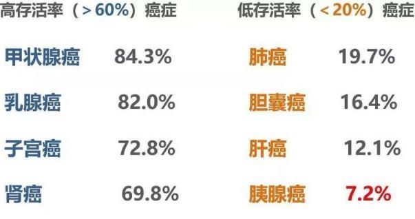 长寿|都是患癌,有的几个星期就去世了,有的人却很长寿,是怎么回事?