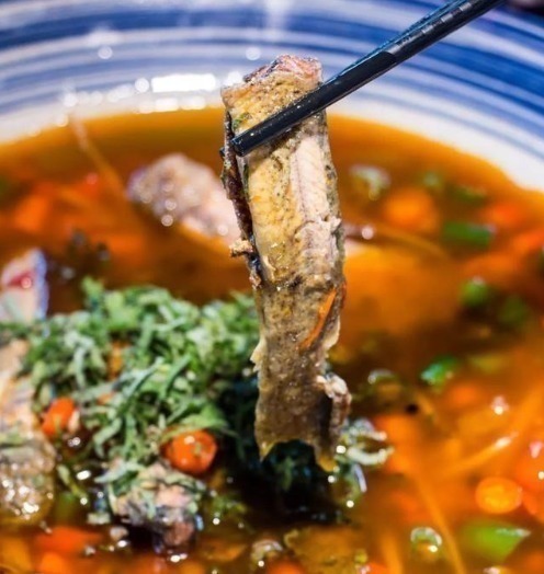 甲鱼|最好吃的鱼，营养是甲鱼8倍，16块钱一斤，比肉便宜无人买