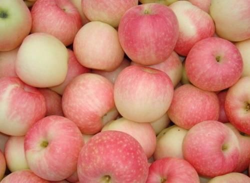 水果|高血糖人群，想保护胰岛，医生提醒：这3种水果平时可多吃一点