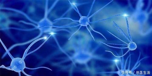 老人|长寿的老人有这五种习惯,老人尽早学起来,也能长寿!