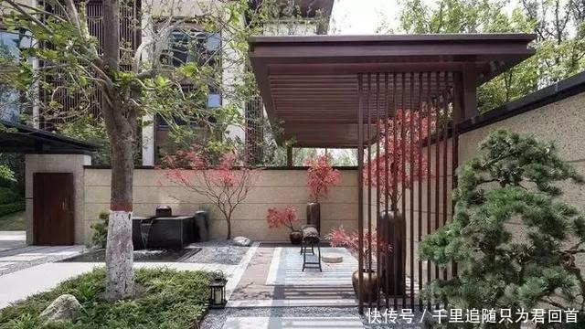 自在|院子里喝茶图个自在