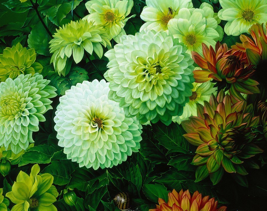 巴塞罗那!西班牙超写实油画大师marcEscofet:大自然的灵魂画师