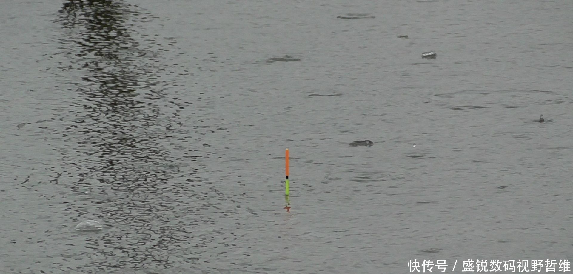 大鱼|这5个钓鱼知识虽冷,却是十足的常识,你是否因犯迷糊而忽视呢?