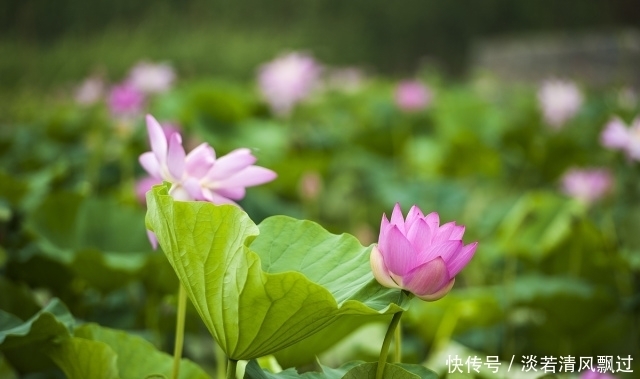 真正人品好的人,往往有一种做人美德,如果没有的话,就要警惕了