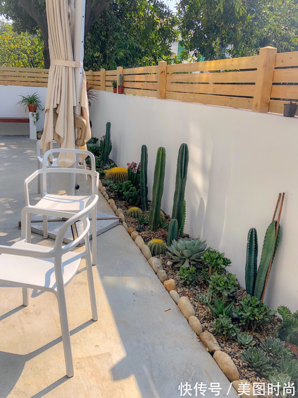预算8万,改造170㎡别墅“沙漠植物懒人花园”,太好看了