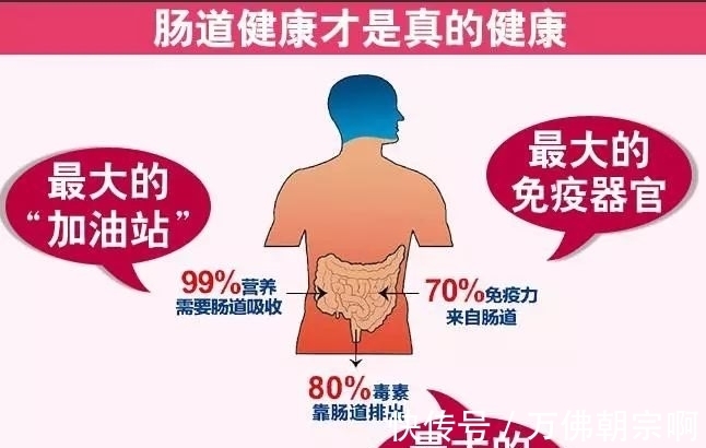 菌群|滥用抗生素太伤身,如何重建身体抵抗力?